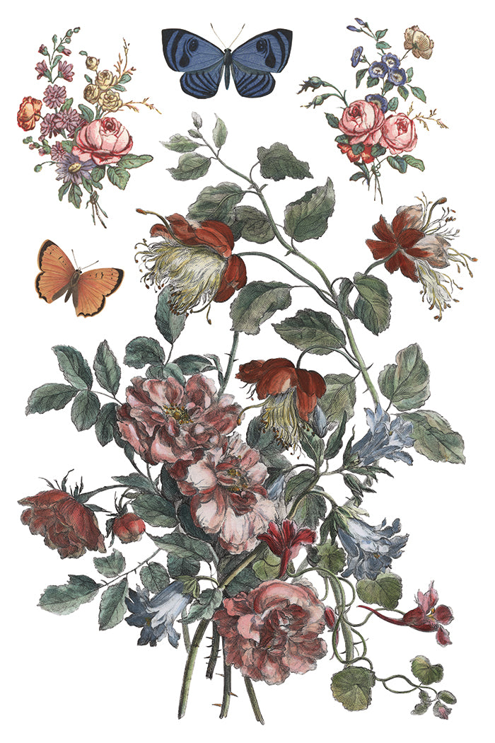 Saint Quen - IOD Transfer 8x12 - 2026 Spring