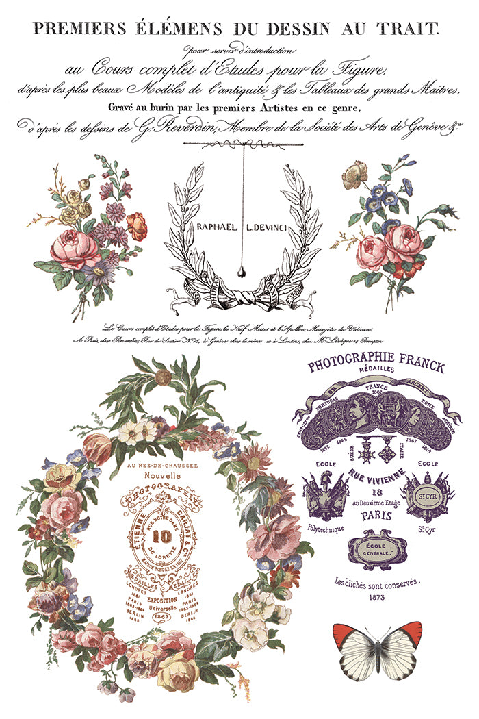 Saint Quen - IOD Transfer 8x12 - 2026 Spring