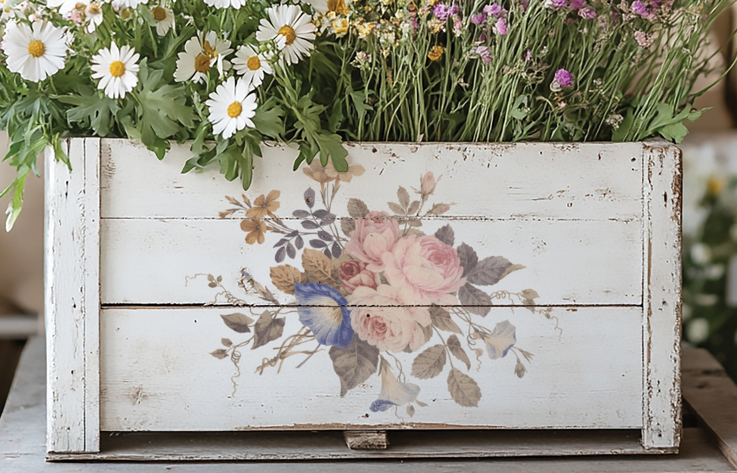 Saint Quen - IOD Transfer 8x12 - 2026 Spring