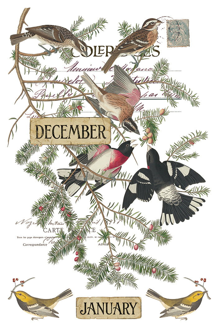 Winter's Calling - IOD Transfers 8x12 - 2026 Winter Limited Edition