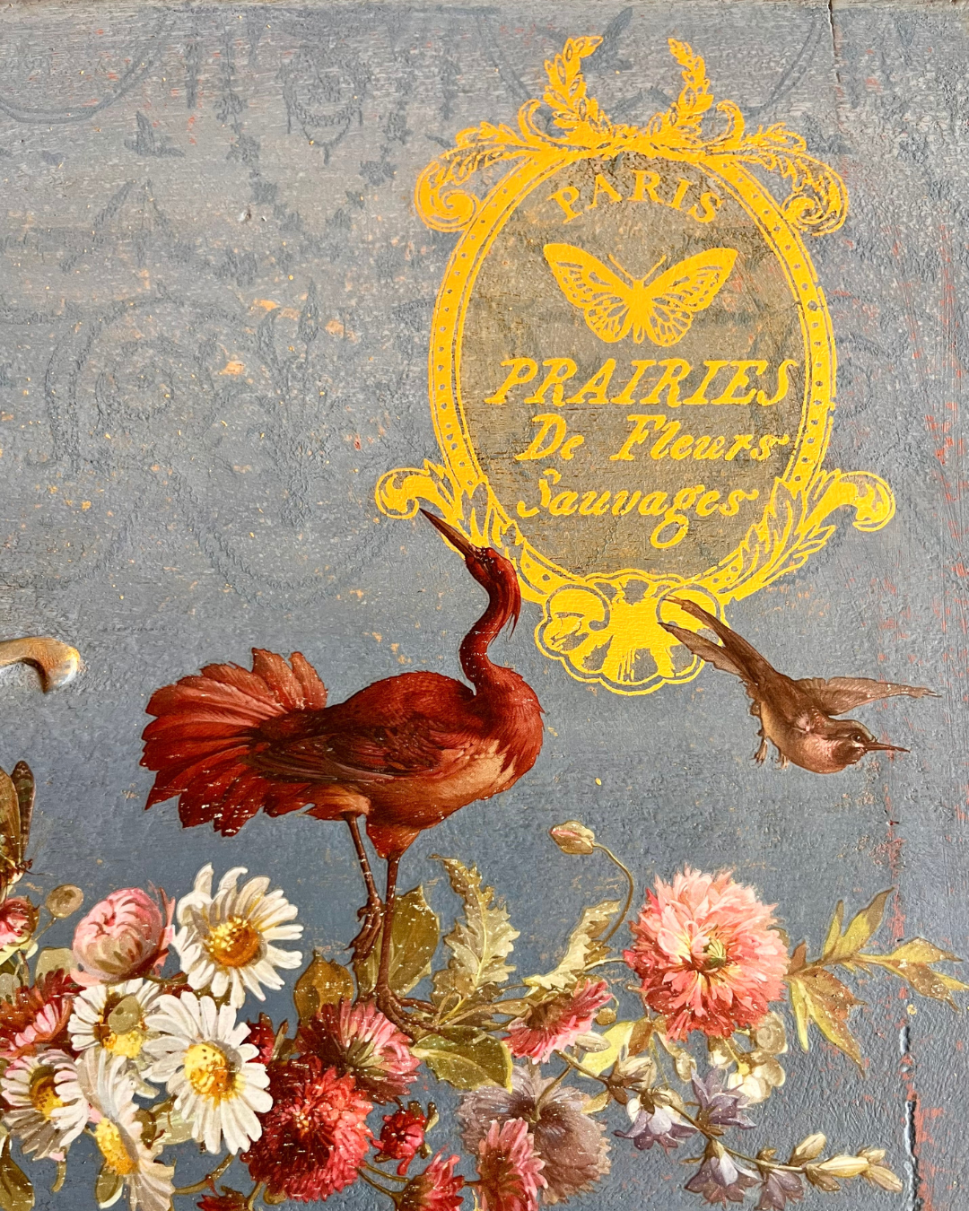 Papillon - IOD Foil Transfer 8x12  - 2026 Spring