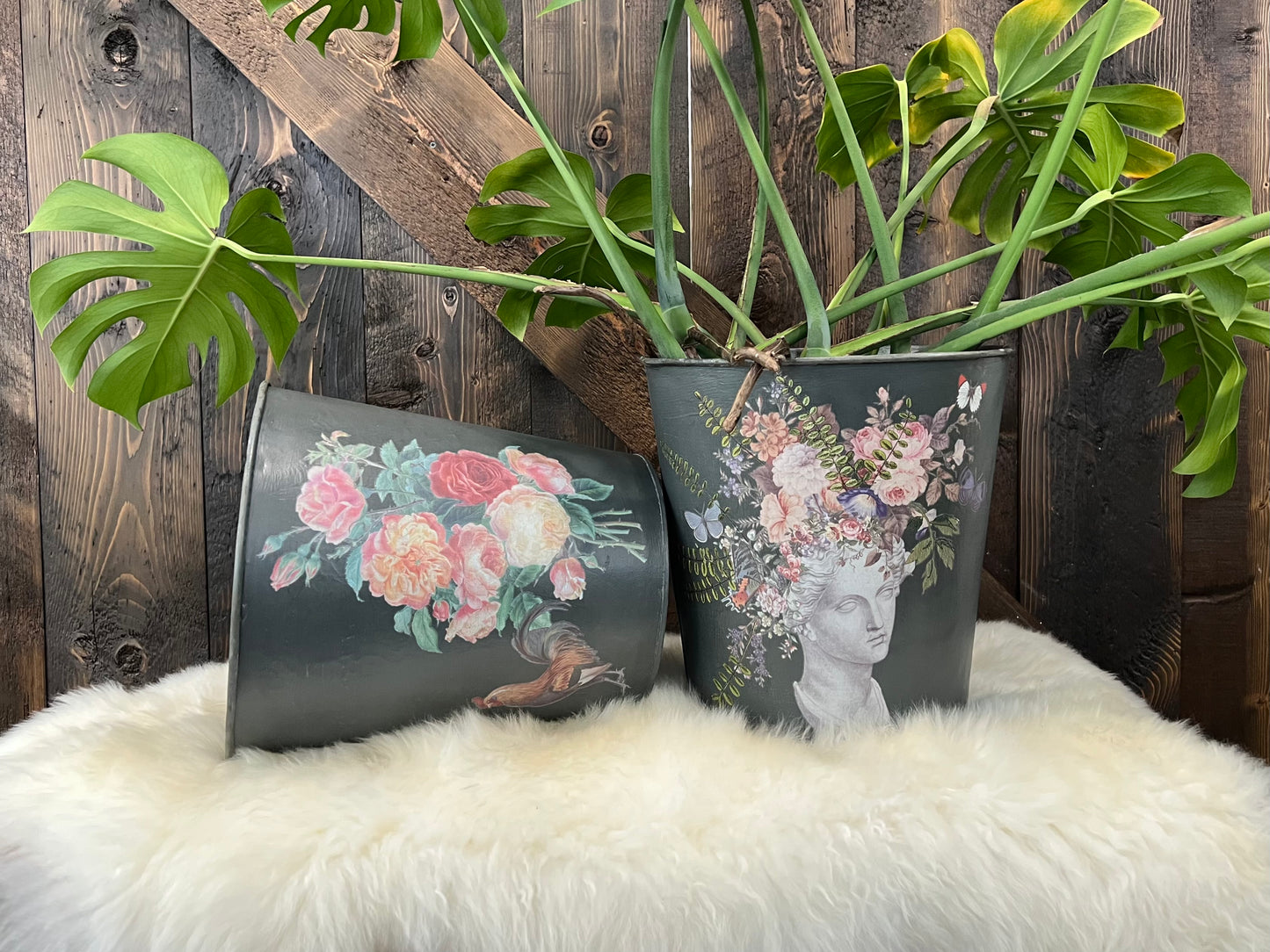 Saint Quen - IOD Transfer 8x12 - 2026 Spring